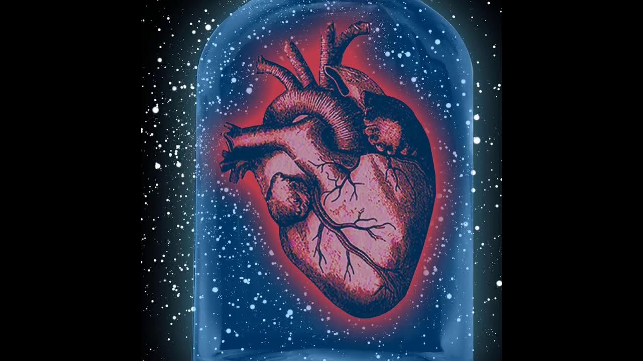 She wonders. Astrus - she wonders why. Шапка take day off. She wonders. She wonders.