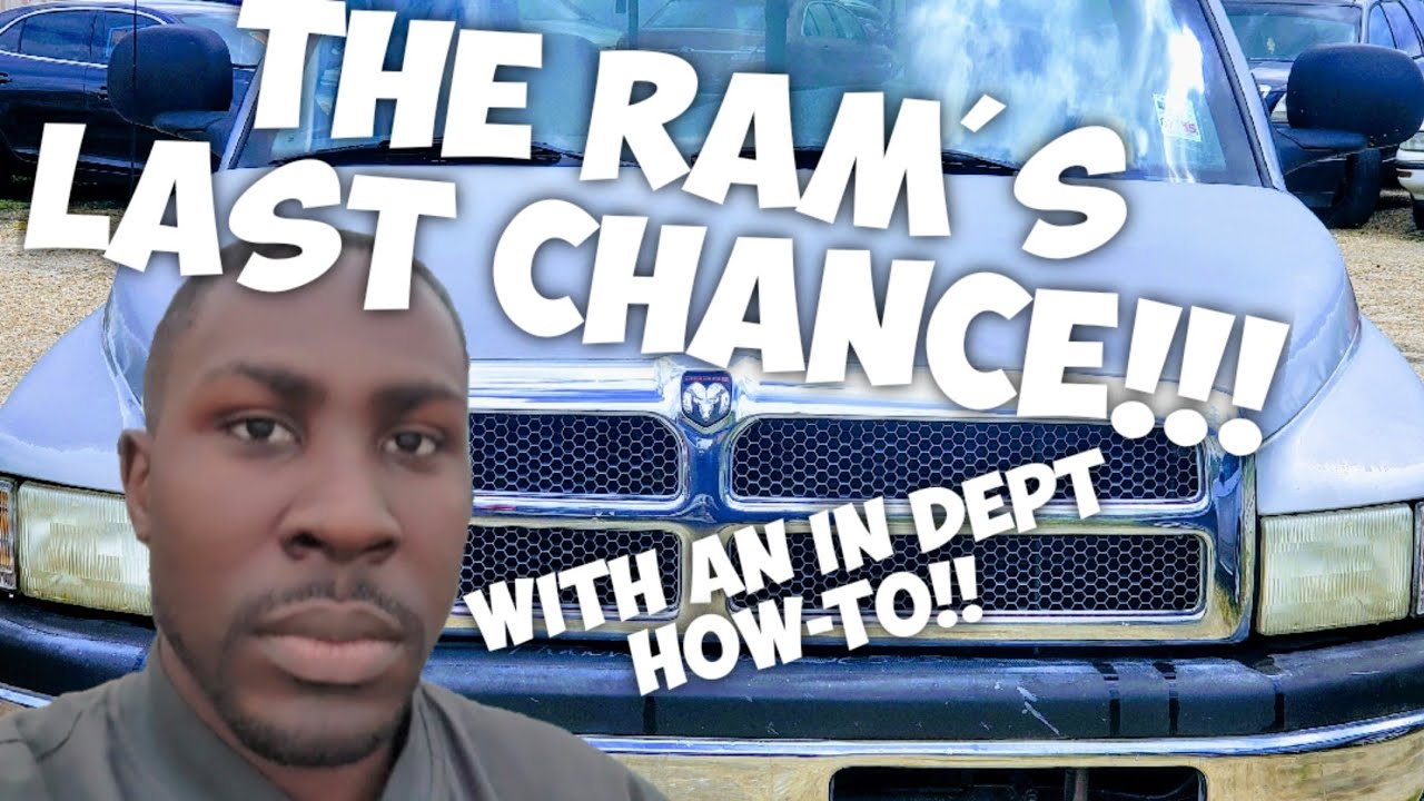 Dodge chance перевод