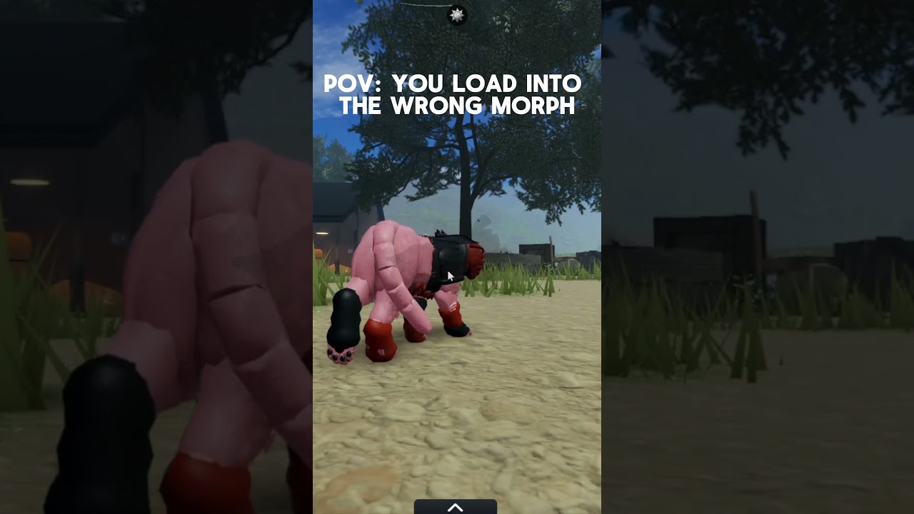 ЛЫСЫЙ КОТ || Вдохновляет: @PebbleWCUEYT || МЕМ/РЕДАКТИРОВАНИЕ «Коты-воители» || 