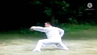 Тунби пигуацюань.  通臂劈掛拳