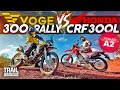 Honda crf300l vs voge 300 rally  vive les petits mono a2 