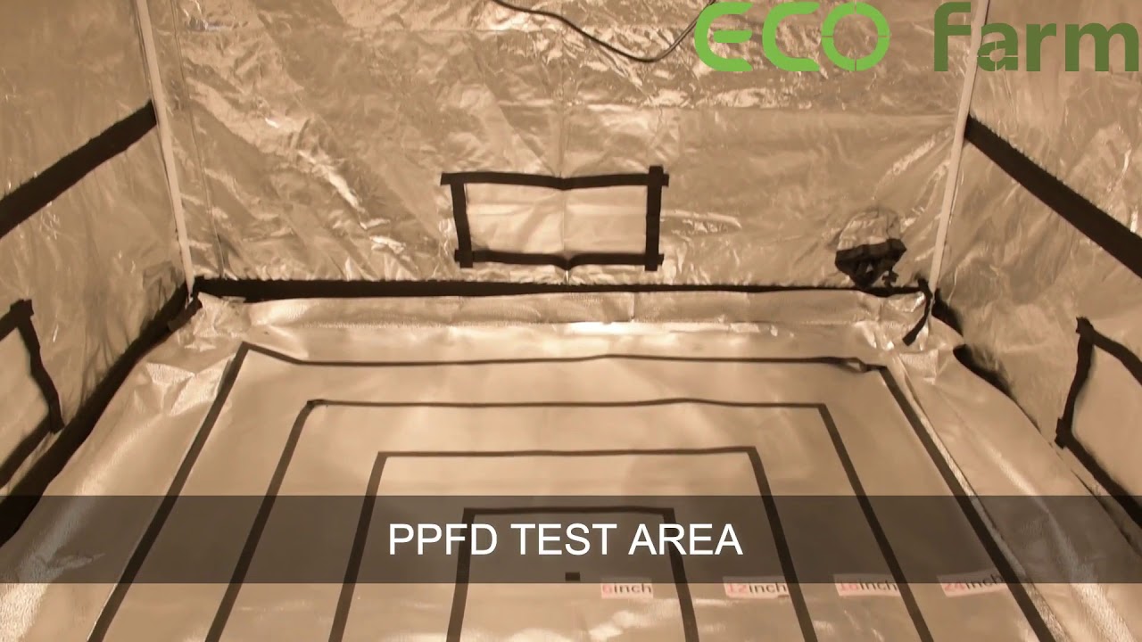 ECO Farm LM301B UV&IR 220W Quantum Board PPFD Testing