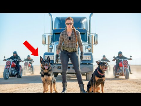 Bikers Threaten a Female Truck Driver—Until Her Military Trained K9s Strike Back with… - YouTube