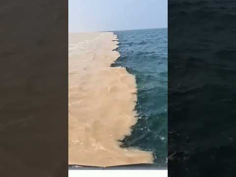 Arab Sagar Or Prasant Mahasagar Milan New Viral Video Arabian Pacific Viral Shorts