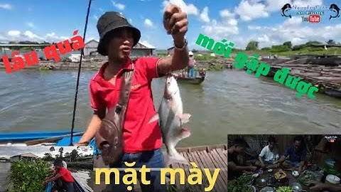 Câu cá bè,Mỹ hòa hưng...cơn mưa bất chợt...và kết quả không ngờ...