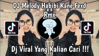 DJ MELODY HABIBI KANE FEXD RMX VIRAL TIK TOK TERBARU 2024 YANG KALIAN CARI !