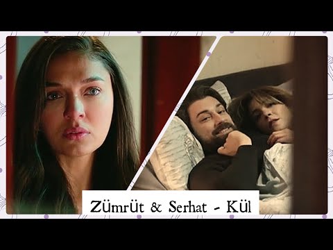 Video: Zümrüd Külü Borerinin Zərərinin və Xüsusiyyətlərinin Müəyyən Edilməsi