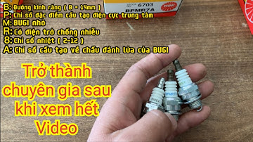 BUGI BPMR8Y và Tất tần tật về BUGI máy cưa, máy cắt cỏ. Những thông tin có thể Anh Em chưa biết?