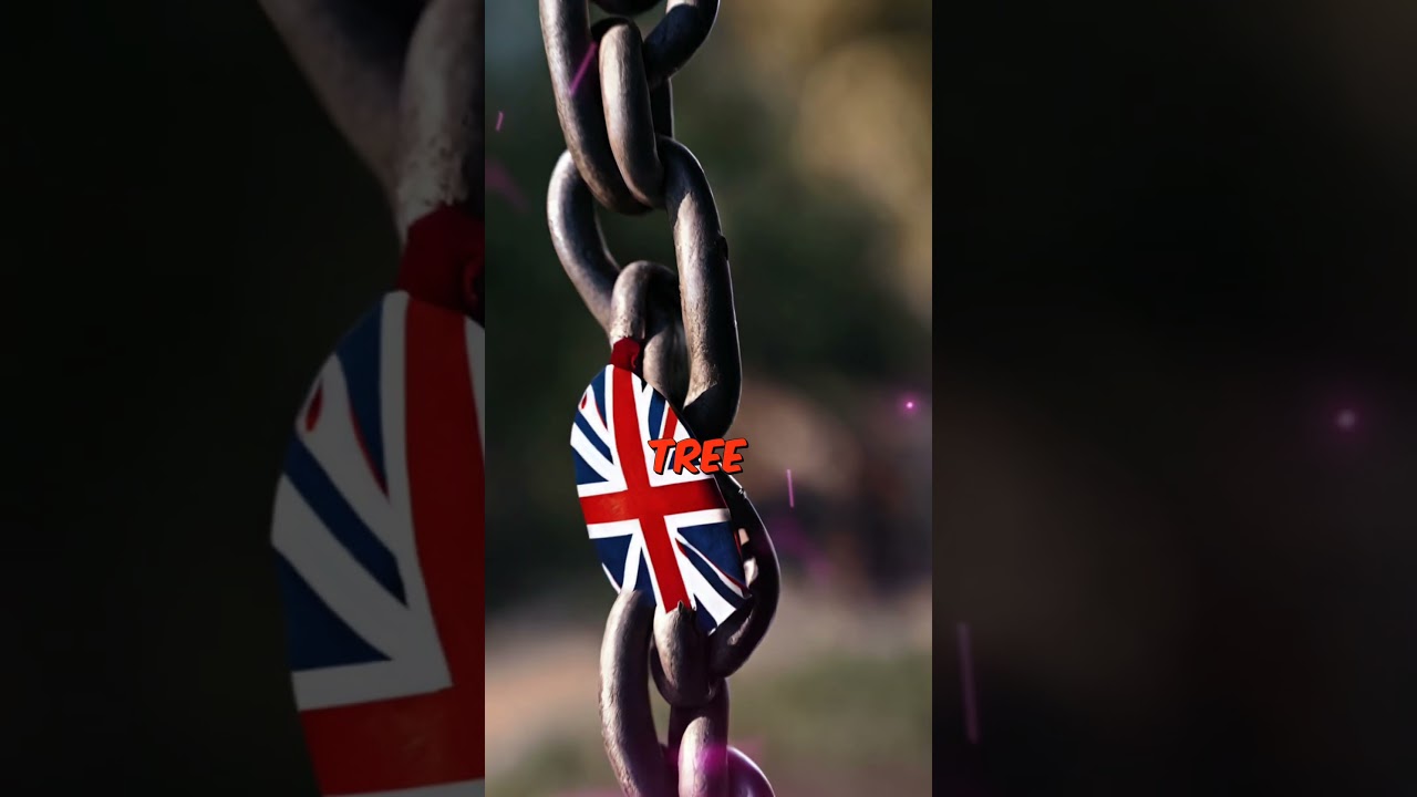 The Tree That Was Arrested 😭|crazy history facts| 