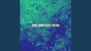 Miniatura de vídeo de "Release - True Song"