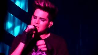 Adam Lambert   Stay Rihanna Cover   Live TOKYO, Japan   21 FEB 2013