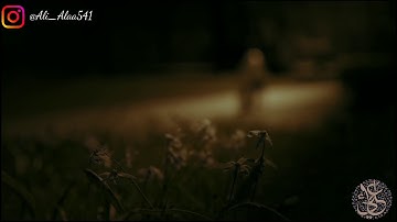 تلاوة عطرة من اوائل سورة القصص | القارئ علي علاء