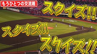 【もうひとつの交流戦】『スクイズ！スクイズ！スクイズ！』まとめ