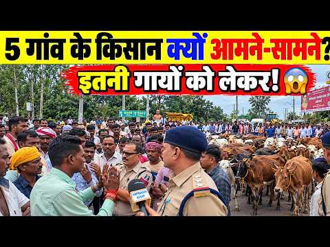 5 गांव के किसान गायों को लेकर सड़क पर हुई बातचीत की पूरी Ground Report | पाटन दुर्ग छत्तीसगढ़