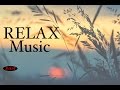 【Relaxing Music】Guitar & Piano Instrumental Music - Background Music - Music for study,Work