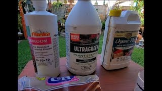 How l Foliar Spray my Fruiting Trees and look at the results!