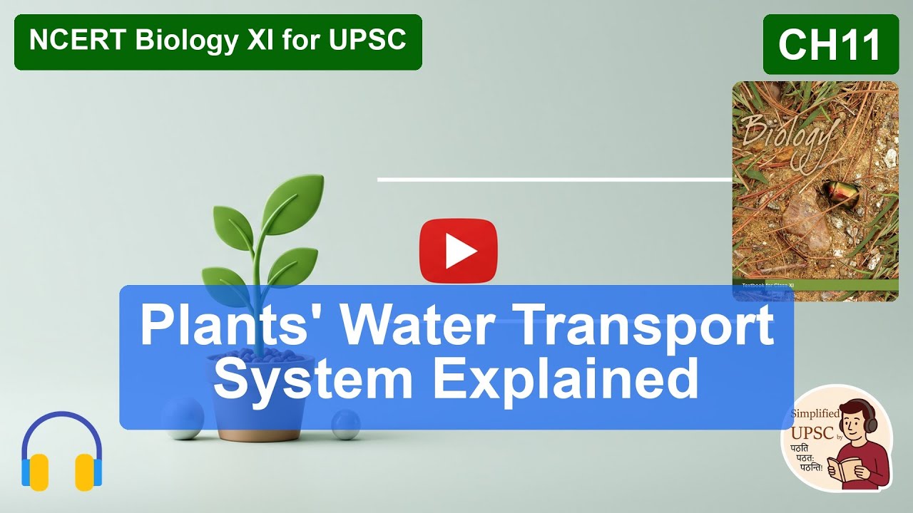 CH11 Plants' Water Transport System Explained NCERT Biology XI for UPSC #upsc #ssc #bpsc #uppsc