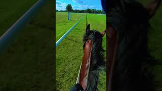 Jockey camera #jockey #equestrian #horse