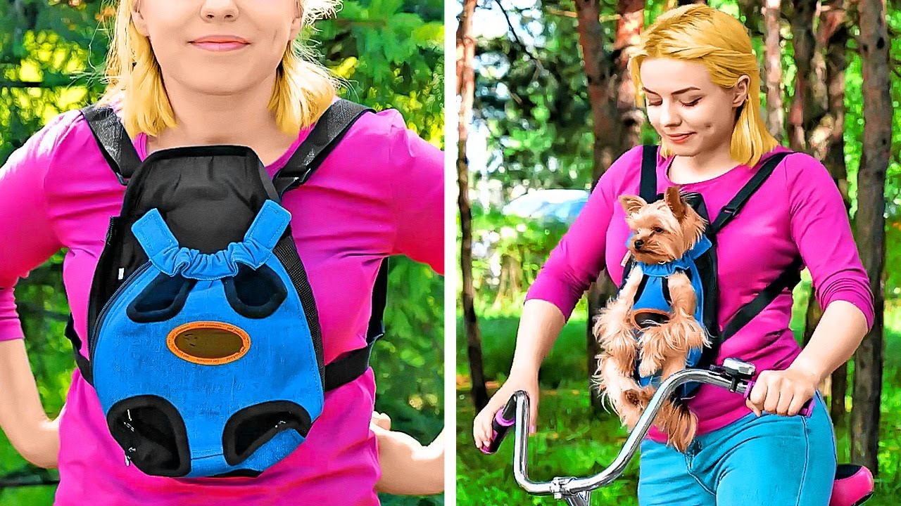 Cute And Smart Pet Gadgets And Hacks