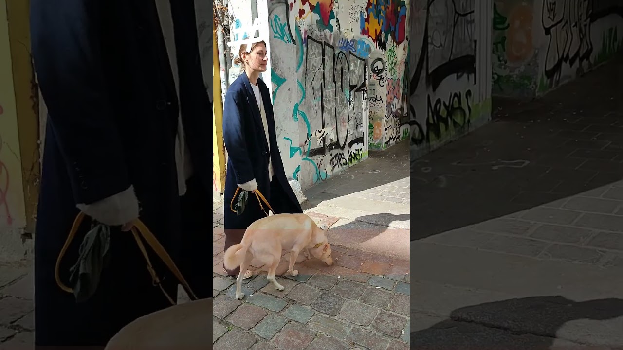 Periodenblut testen, Krankheiten erkennen, die Datenlücke in der Frauengesundheit schließen 