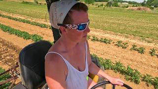M Cultivating Potatoes