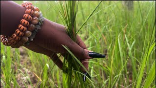 Touching and Cutting Grass ASMR