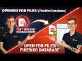 Opening FDB Files: Firebird Database