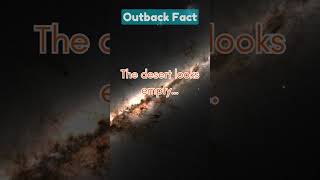 Lost in the Outback 🏜️ #Australia #Outback #survival