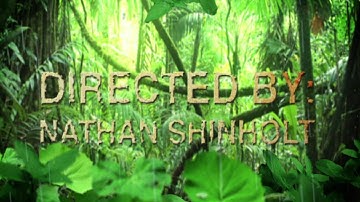 After Effects: Jungle