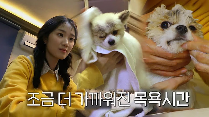 김혜윤, 황광희와 함께 외모에 관심 많은 홍춘이 목욕 시키기!ㅣ뷰티 앤 더 비스트 (beast)ㅣSBS ENTER.