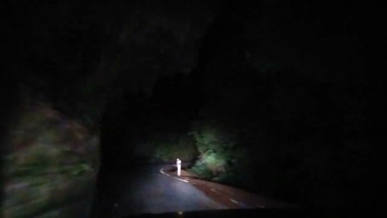 Night Forest Drive  87 Return - Akatarawa Road Rambles