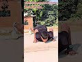 stretching🏃♂️ exercise🙋♂️ all body best🤸♂️ exercise 💪 #exercise #runningtips #runningexercise