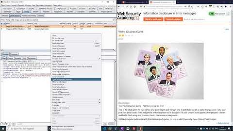 Information disclosure in error messages (Video solution)