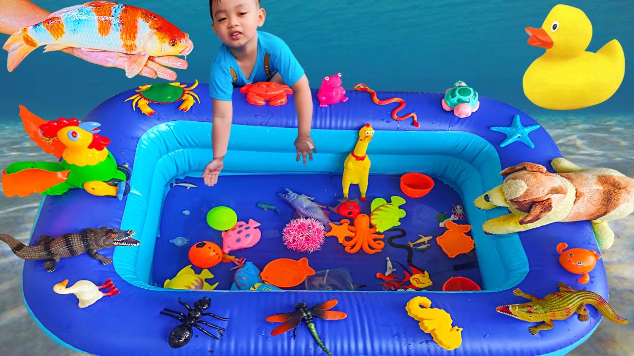 Smart Boy Fishing Ornamental And Catching Cute Ducks, Sea Animals Toys, Koi Fish, Crocodile, Chicken
