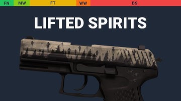 P2000 Lifted Spirits - Skin Float And Wear Preview
