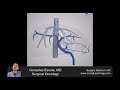 TIPS Procedure-Complementary Med-School Video from Sx Basics in 4D (Interactive Book)