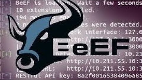 BeEF-XSS explained ￼ | Kali Linux