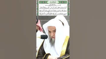 سورة الفيل قراءة الشيخ فيصل غزاوي
