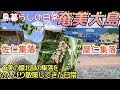 【奄美大島】島の最北部の屋仁集落・佐仁集落ドライブ🤗2023年5月撮影#amami #観光#忌怪島