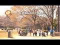 4K Japan Walk - Strolling around and visiting the Chiba City Zoo | NHO 4K