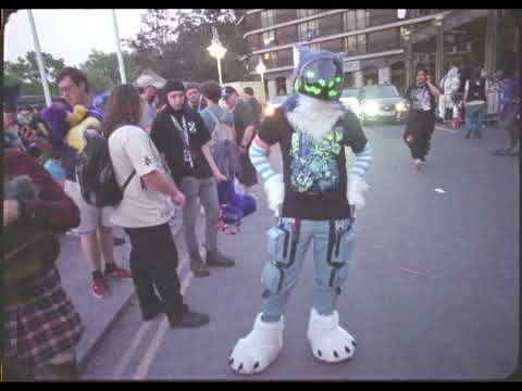 Confuzzled 2026 on 16mm