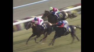 ライスシャワー 1992年 第53回菊花賞(GI) (優勝馬：ライスシャワー)