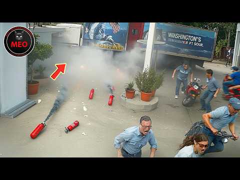 Moments You Must See To Believe The Luckiest People Caught On Camera Best Of 2025