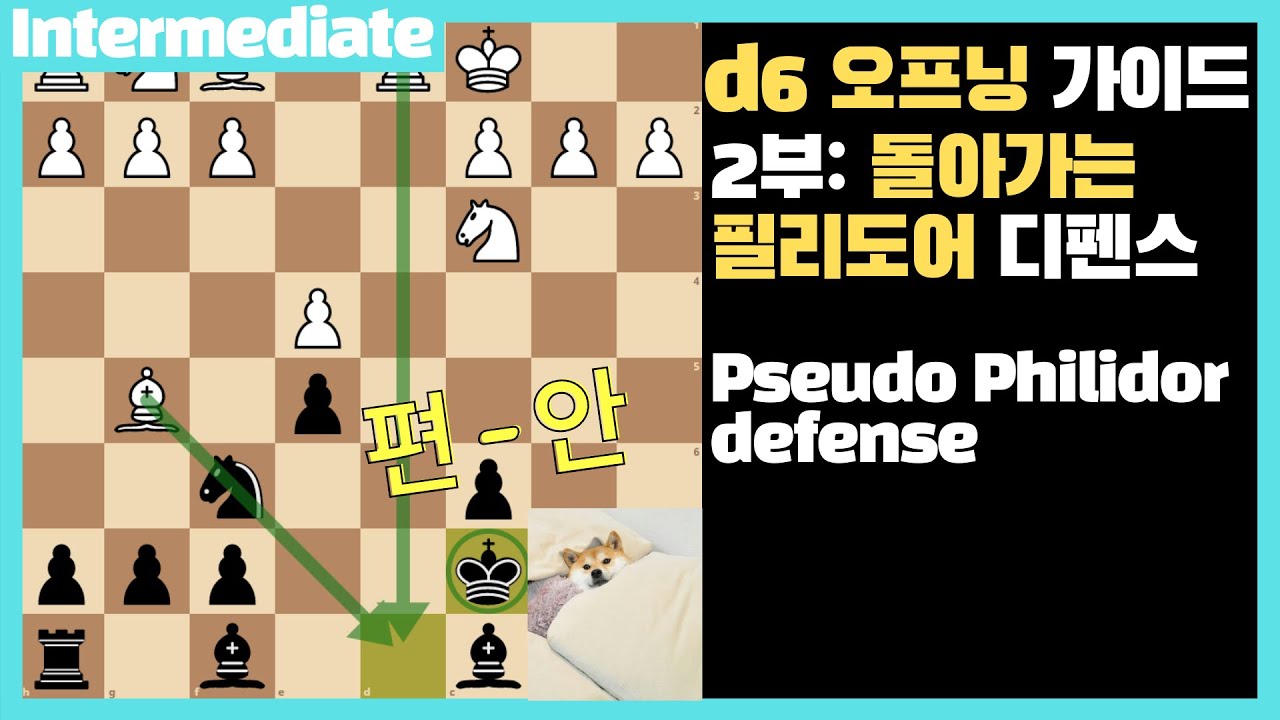 [쉽지만 강력한 체스 오프닝] d6 총정리 2부: 돌아가는 필리도어 디펜스