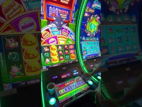 Banda Mach _ Casino Nogales