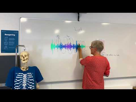 Video: Hvad er lydbølger, og hvordan bevæger de sig?
