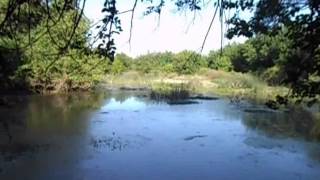 VILLA DE SOTO - SONIDOS EN UNA REPRESA DEL BAÑADO DE SOTO