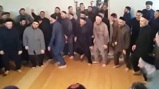 BRUTAL MOSH!