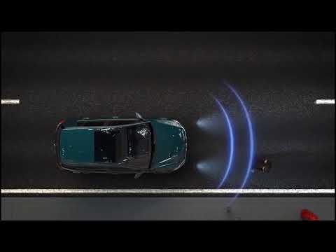 Front Assist Yaya Algılama Asistanı