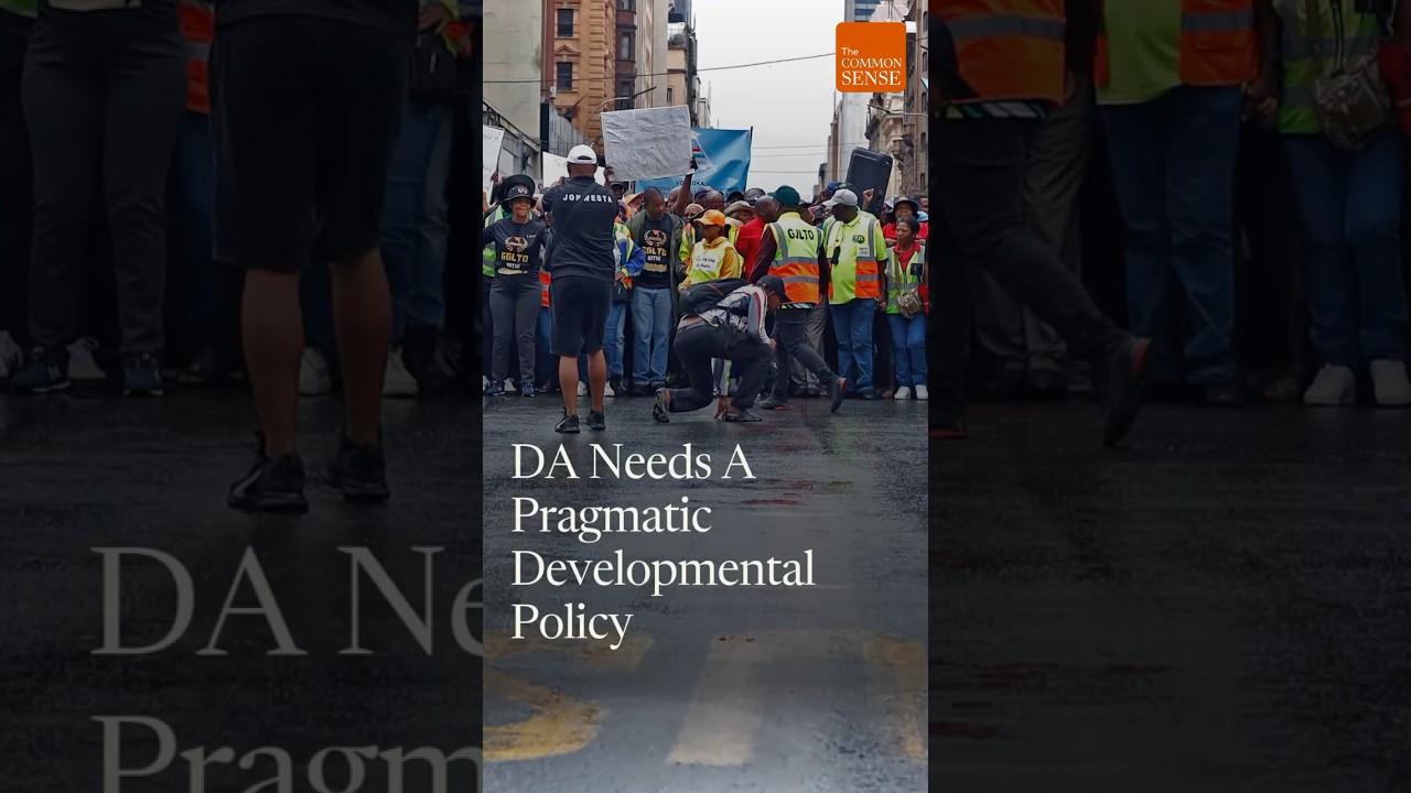 DA Needs A Pragmatic Developmental Policy